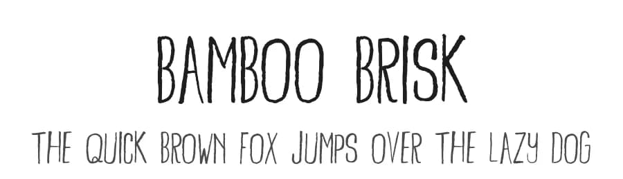 Bamboo Brisk by Skyhaven Fonts — Script Handwritten Font