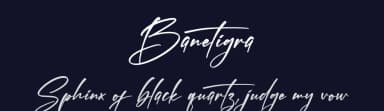 Banetigra by Letterena Studios — Script Handwritten Font — thumbnail 2