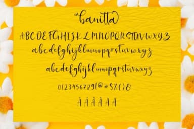 Banitta Family Font by Juncreative — Script Handwritten Font — thumbnail 8
