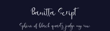 Banitta Script by JunCreative — Script Handwritten Font — thumbnail 2