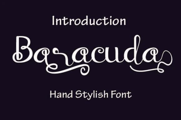 Baraccuda Font by Amanda_Design — Script Handwritten Font