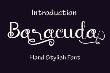 Baraccuda Font by Amanda_Design — Script Handwritten Font — thumbnail 1