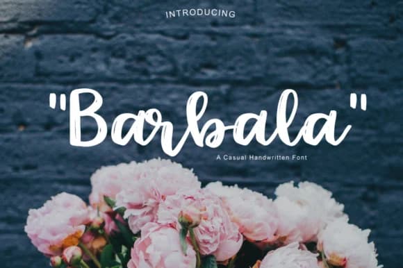 Barbala Font by Studio_Art — Script Handwritten Font