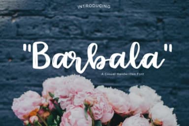 Barbala Font by Studio_Art — Script Handwritten Font — thumbnail 1