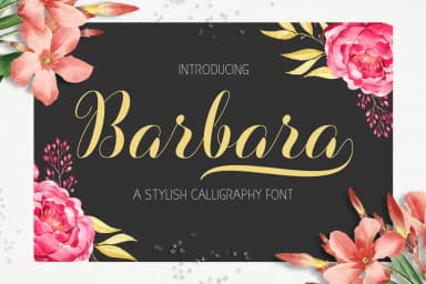 Barbara Font by Picatype Studio — Script Handwritten Font — thumbnail 1