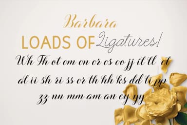 Barbara Font by Picatype Studio — Script Handwritten Font — thumbnail 5