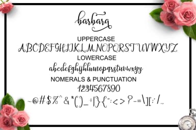 Barbara Script Font by masinong — Script Handwritten Font — thumbnail 8