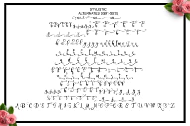 Barbara Script Font by masinong — Script Handwritten Font — thumbnail 9