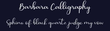 Barbara Calligraphy by AEN Creative Studio — Script Handwritten Font — thumbnail 2