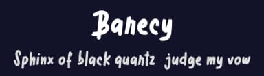 Barecy by Vunira Design — Script Handwritten Font — thumbnail 2
