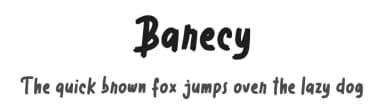 Barecy by Vunira Design — Script Handwritten Font — thumbnail 1