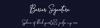 Barier Signature by twinletter — Script Handwritten Font — thumbnail 2