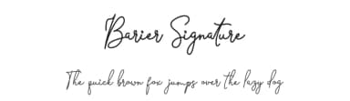 Barier Signature by twinletter — Script Handwritten Font — thumbnail 1
