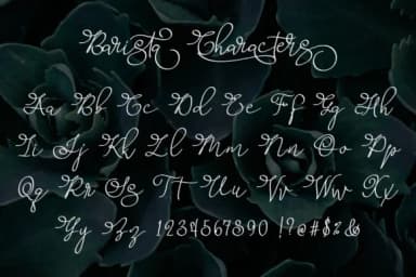 Barista Script Font by aldedesign — Script Handwritten Font — thumbnail 4