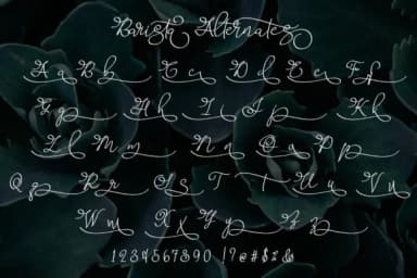 Barista Script Font by aldedesign — Script Handwritten Font — thumbnail 5