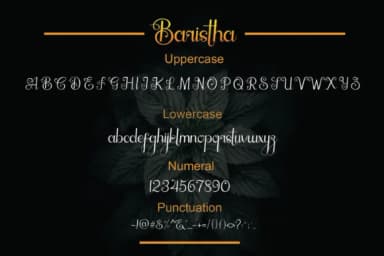 Baristha Font by NeutroneLabs — Script Handwritten Font — thumbnail 4