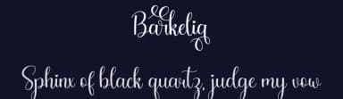 Barkelia by Hamzah Muhamad Ihsan — Script Handwritten Font — thumbnail 2