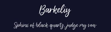 Barkeliy by Balpirick Studio — Script Handwritten Font — thumbnail 2