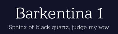 Barkentina 1 by Kiril Zlatkov — Serif Font — thumbnail 2