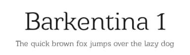 Barkentina 1 by Kiril Zlatkov — Serif Font — thumbnail 1