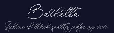 Barletta by Four Lines — Script Handwritten Font — thumbnail 2