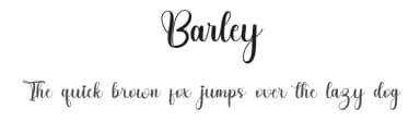 Barley by FreshtypeINK — Script Handwritten Font — thumbnail 1