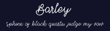 Barley by Alpaprana Studio — Script Handwritten Font — thumbnail 2