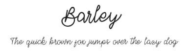 Barley by Alpaprana Studio — Script Handwritten Font — thumbnail 1