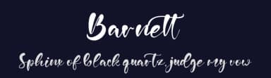Barnett by Vztype Studio — Script Handwritten Font — thumbnail 2