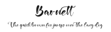 Barnett by Vztype Studio — Script Handwritten Font — thumbnail 1