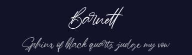 Barnett by Garisman Studio — Script Handwritten Font — thumbnail 2