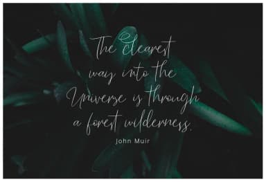 Barosaki Font by PointLab — Script Handwritten Font — thumbnail 7