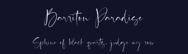 Barriton Paradise by Timur Type — Script Handwritten Font — thumbnail 2