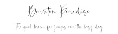 Barriton Paradise by Timur Type — Script Handwritten Font — thumbnail 1