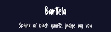 Barttela by Skiiller Studio — Script Handwritten Font — thumbnail 2