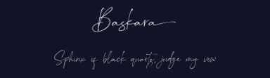 Baskara by Viswell Studio — Script Handwritten Font — thumbnail 2