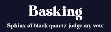 Basking by Din Studio — Serif Font — thumbnail 2