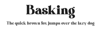 Basking by Din Studio — Serif Font — thumbnail 1