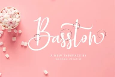 Basston Script Font by Beautypes — Script Handwritten Font — thumbnail 4