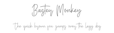 Baster Monkey by StringLabs Creative Studio — Script Handwritten Font — thumbnail 1