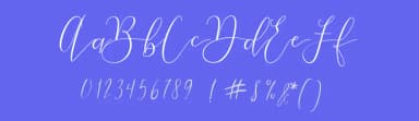 Bastille Day by Deniz86 — Script Handwritten Font — thumbnail 3