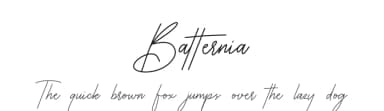 Batternia by Denny Subagja — Script Handwritten Font — thumbnail 1