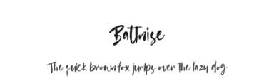 Battnise by Vultype — Script Handwritten Font — thumbnail 1