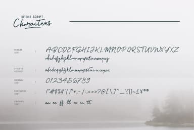 Baysoir Font by Pana Type — Script Handwritten Font — thumbnail 7