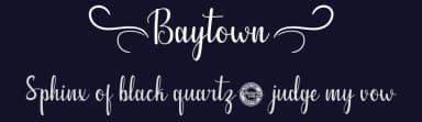 Baytown by Calligraphy Fonts — Script Handwritten Font — thumbnail 2