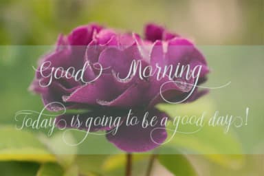 Bayttrun Script Font by Encolab — Script Handwritten Font — thumbnail 2