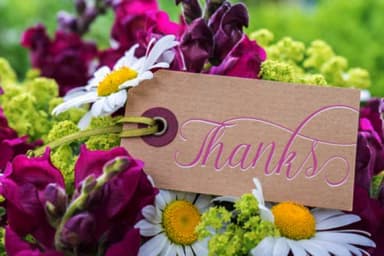 Bayttrun Script Font by Encolab — Script Handwritten Font — thumbnail 8