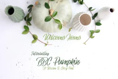 BBC Pumpkin Font by BellaBoo — Script Handwritten Font — thumbnail 1