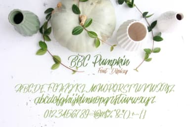 BBC Pumpkin Font by BellaBoo — Script Handwritten Font — thumbnail 2