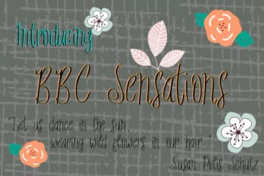 BBC Sensations Font by BellaBoo — Serif Font — thumbnail 1